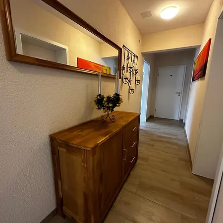 Cats And Apartment