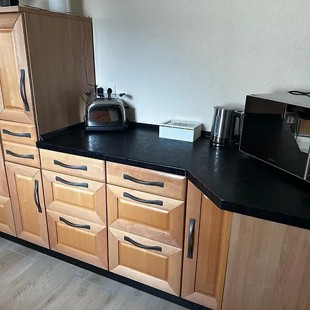 Cats And Apartment *