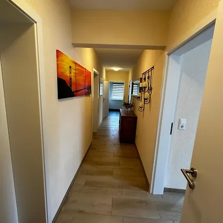 Cats And Apartment