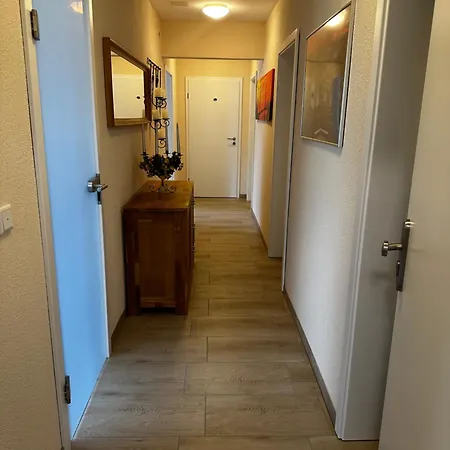 Apartment Cats And *