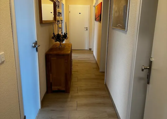 Lejlighed Cats And *